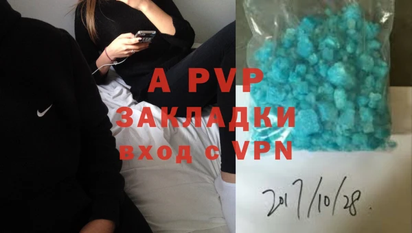 ПСИЛОЦИБИНОВЫЕ ГРИБЫ Галич