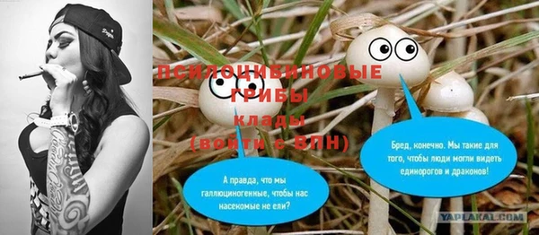 a pvp Гатчина