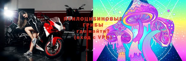 гашик Аркадак