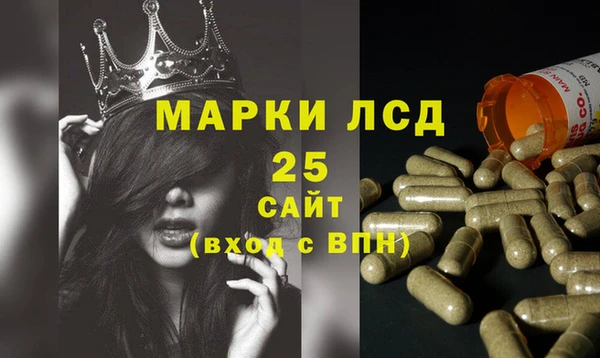 альфа пвп Гвардейск