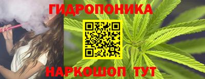 индика Будённовск