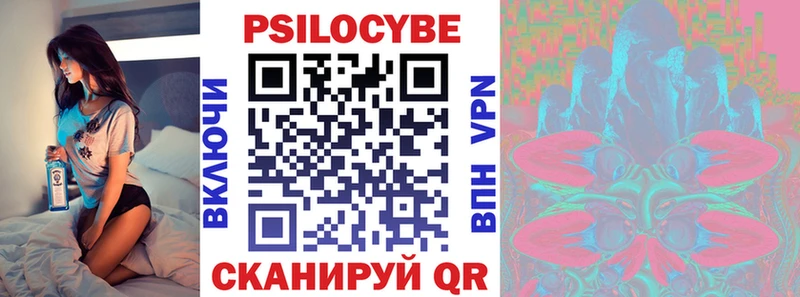 гидра как войти  купить закладку  Лыткарино  Галлюциногенные грибы Psilocybe 