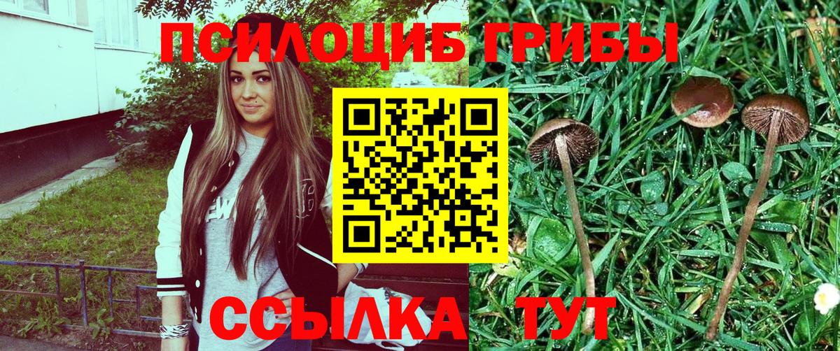 Галлюциногенные грибы Magic Shrooms Лыткарино