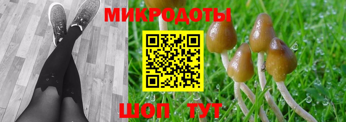 НБОМе Лыткарино