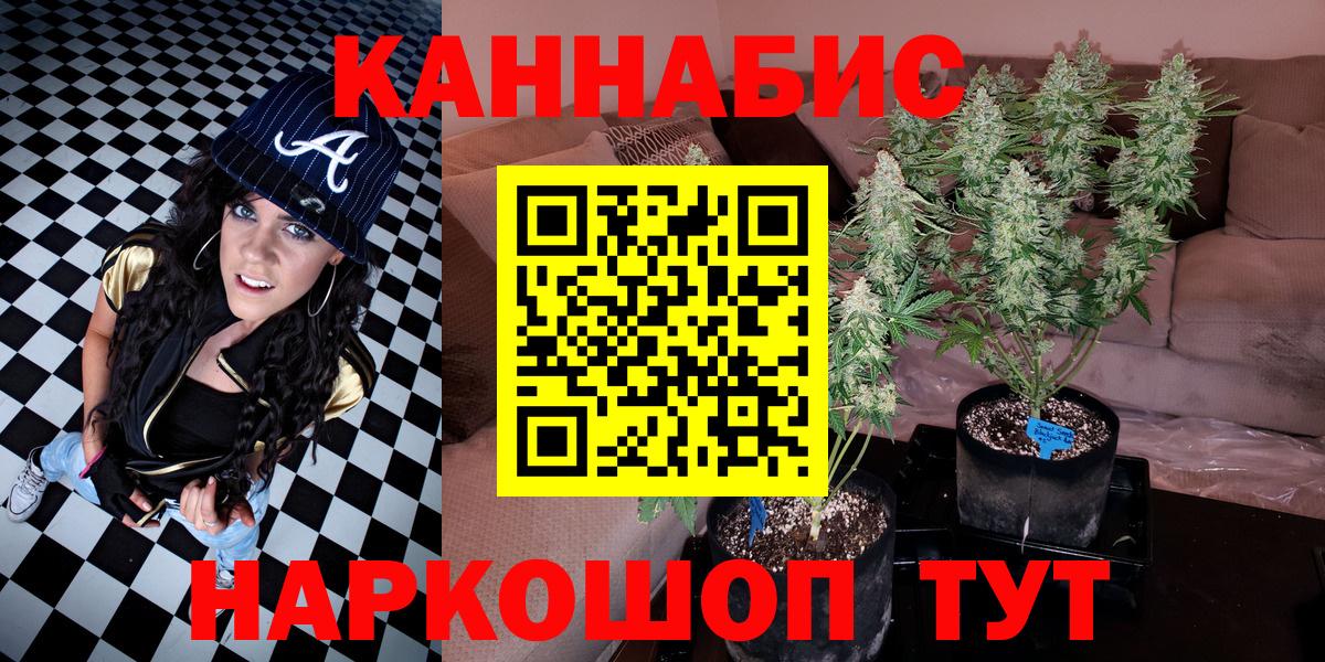 Каннабис SATIVA & INDICA Лыткарино